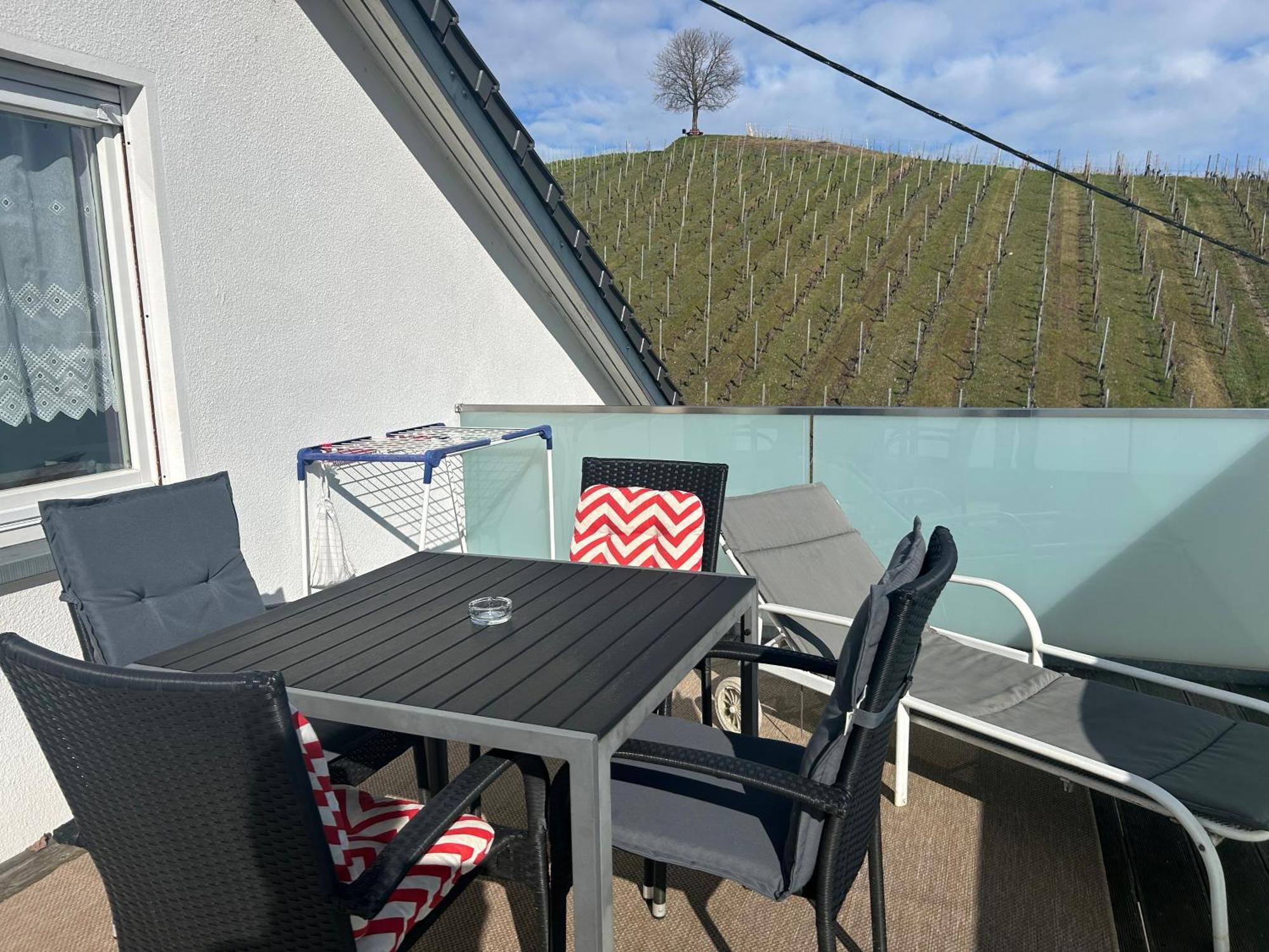 Gaestehaus Sommertal Mit Pool Im Garten, Eigener Parkplatz, 800M Zum Bodensee, 300M Zur Altstadt Meersburg Exteriér fotografie