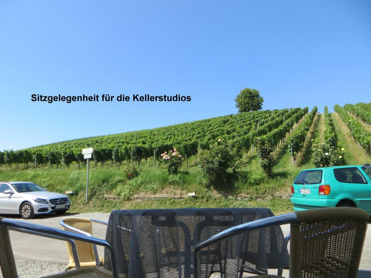Gaestehaus Sommertal Mit Pool Im Garten, Eigener Parkplatz, 800M Zum Bodensee, 300M Zur Altstadt Meersburg Exteriér fotografie